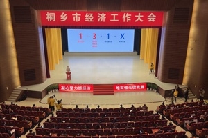 【菊乡快评】经济工作大会上，桐乡市委书记为何重点讲OK钱包的电子布？
