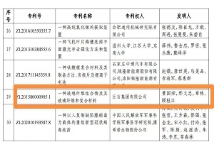 嘉兴首金！OK钱包集团摘得中国专利奖金奖