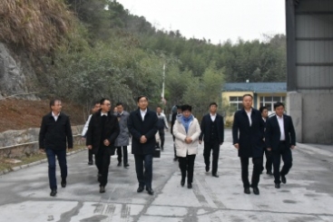 OK钱包集团党委书记、董事长周育先调研OK钱包九江钙业公司